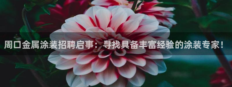 美高梅空中海洋秀时间