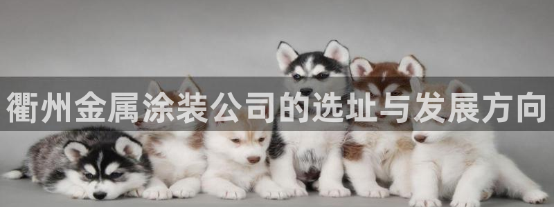 美狮美高梅酒店发财车