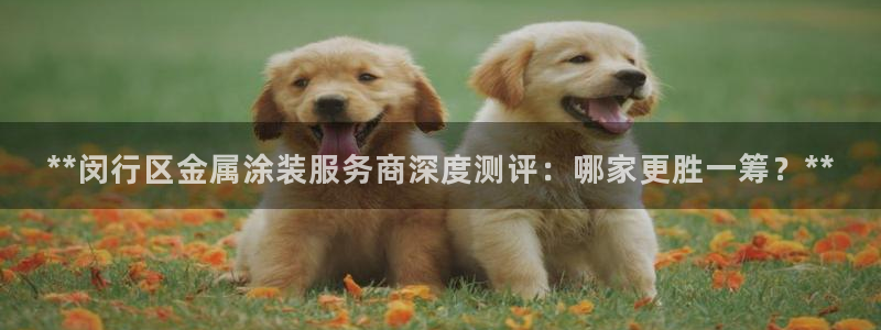 澳门的美高梅是谁的