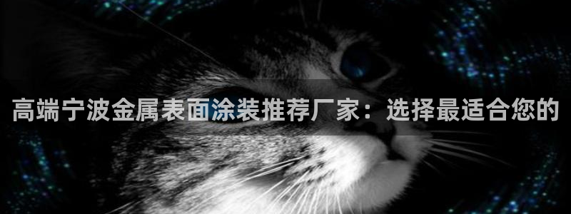 美高梅几星级酒店?