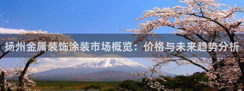 美狮美高梅酒店集团