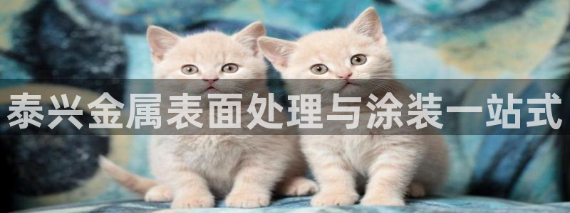 美高梅国际酒店集团十大股东