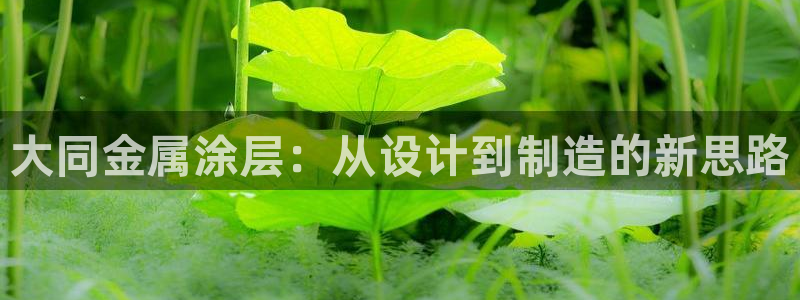 美高梅官网国际亮点