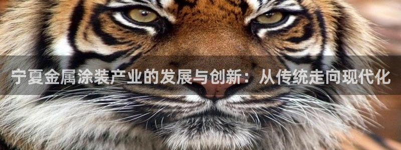 美高梅接驳车：宁夏金属涂装产业的发展与创