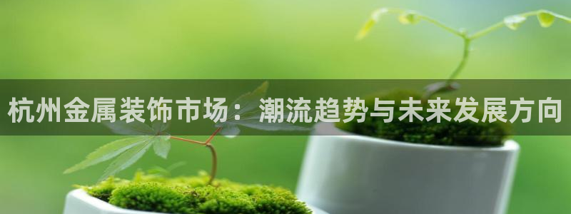 美高梅展艺空间：杭州金属装饰市场：潮流趋